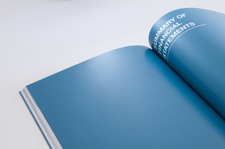 Stefanutti Stocks 2013 annual report integrated report annual integrated report financial results Sigil Design Bureau Rosalie Pike